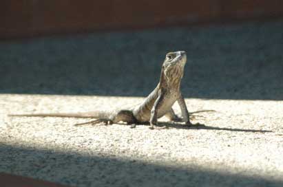 Agriculture and the Environment Image